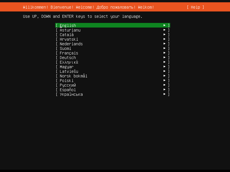 Ubuntu server installer