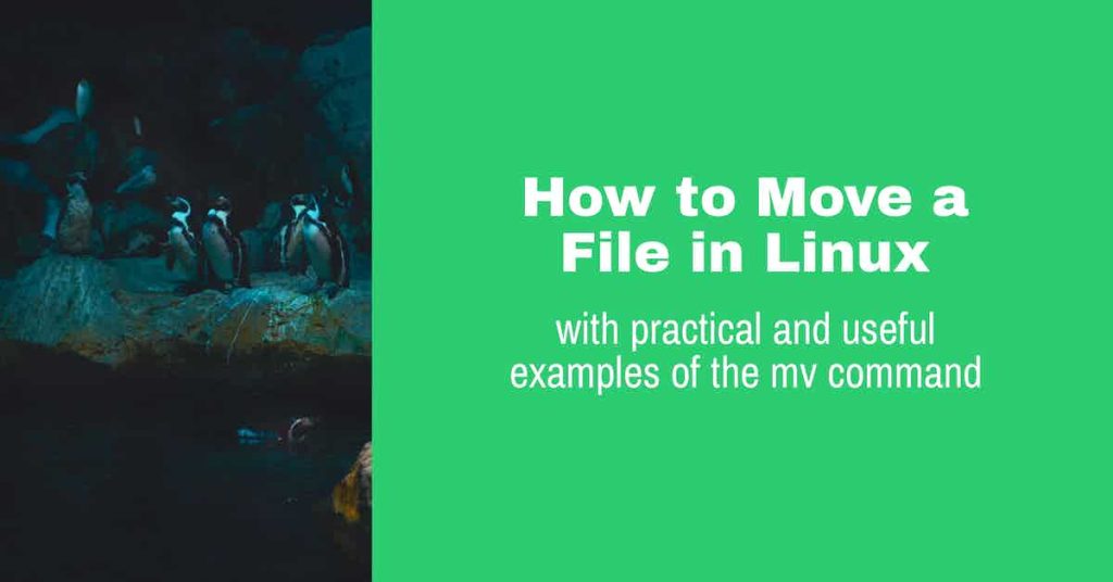 move files linux