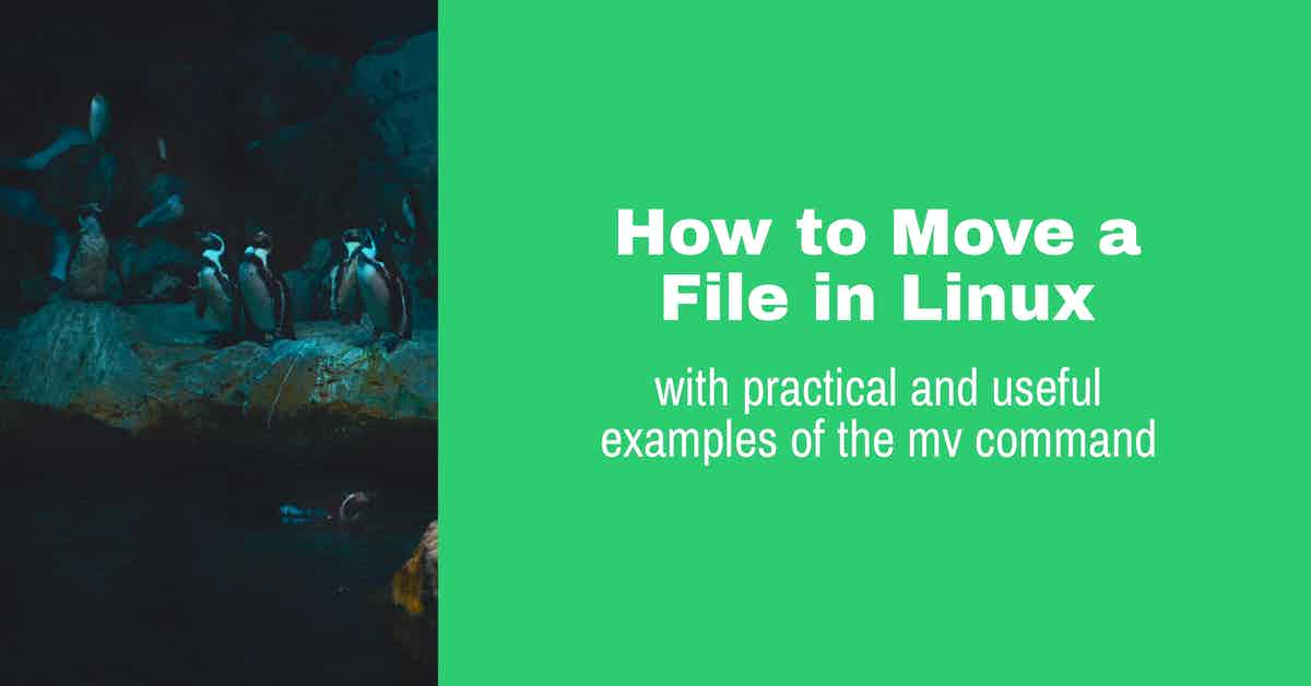 How to Move a File in Linux